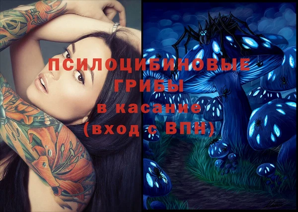 первитин Покачи