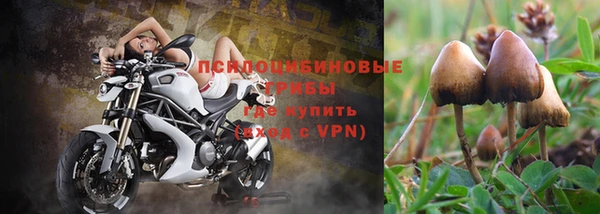apvp Балахна