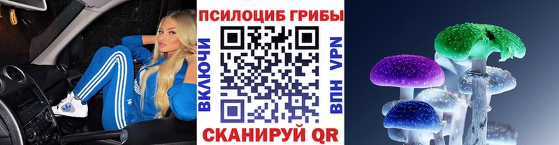 Псилоцибиновые грибы мицелий Голицыно